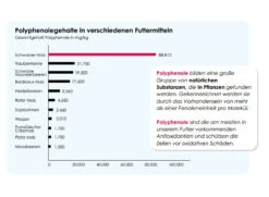 Versele Master Witwer 20kg -Vogelproduktladen antioxidantien 11