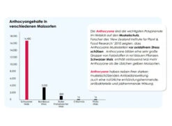 Versele Start Plus I.C.⁺ 20kg -Vogelproduktladen antioxidantien 29