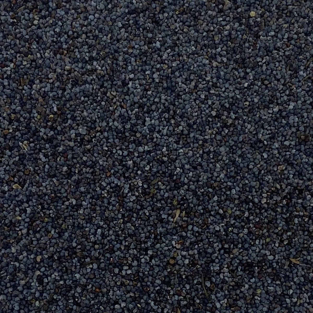 Blaumohnsamen - Vanrobaeys 25kg 3 Blaumohnsamen - Vanrobaeys 25kg