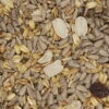 Gevo Gartenvogelfutter Schalenlos 10kg -Vogelproduktladen gevo schalenlos