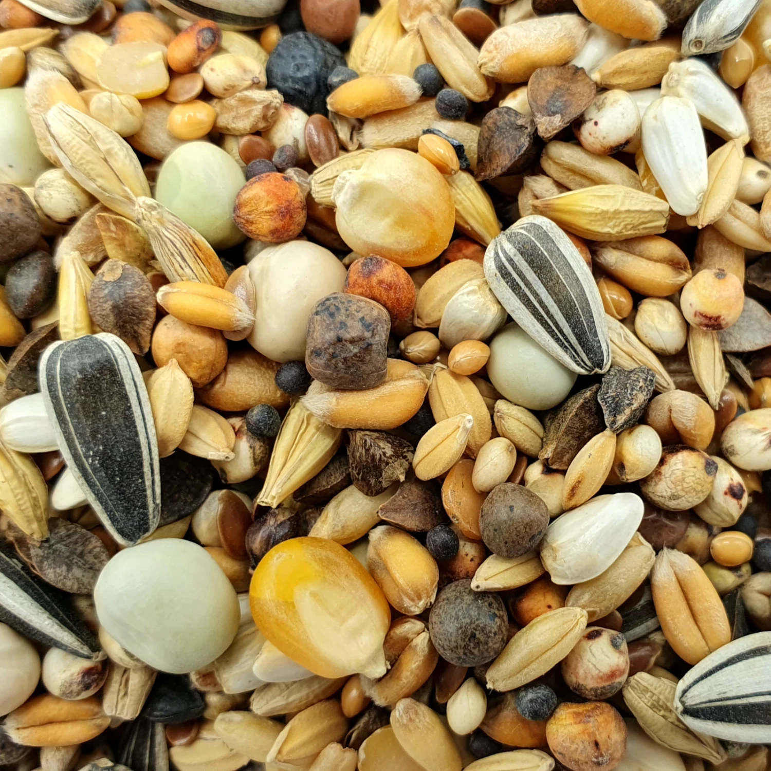 Gladen Rassetaubenfutter Usbeken 25kg 3 Gladen Rassetaubenfutter Usbeken 25kg