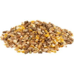 Versele Gold 4 Mix 20kg -Vogelproduktladen gold4mixl