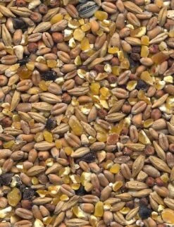 Havens Scharrel-Graan - Körnerfutter 25kg -Vogelproduktladen graanmengelingenscharrelgraan