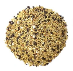 Spinne SoMoDiMi - Power Sprint 25kg