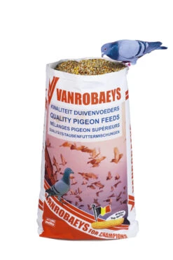 Vogelproduktladen -Vogelproduktladen vanrobaeyszakmetduif2