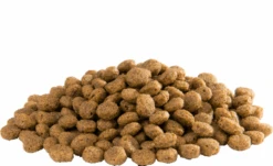 Versele Floating Ibis 2er-Pack 30kg -Vogelproduktladen versele floating ibis inhalt0