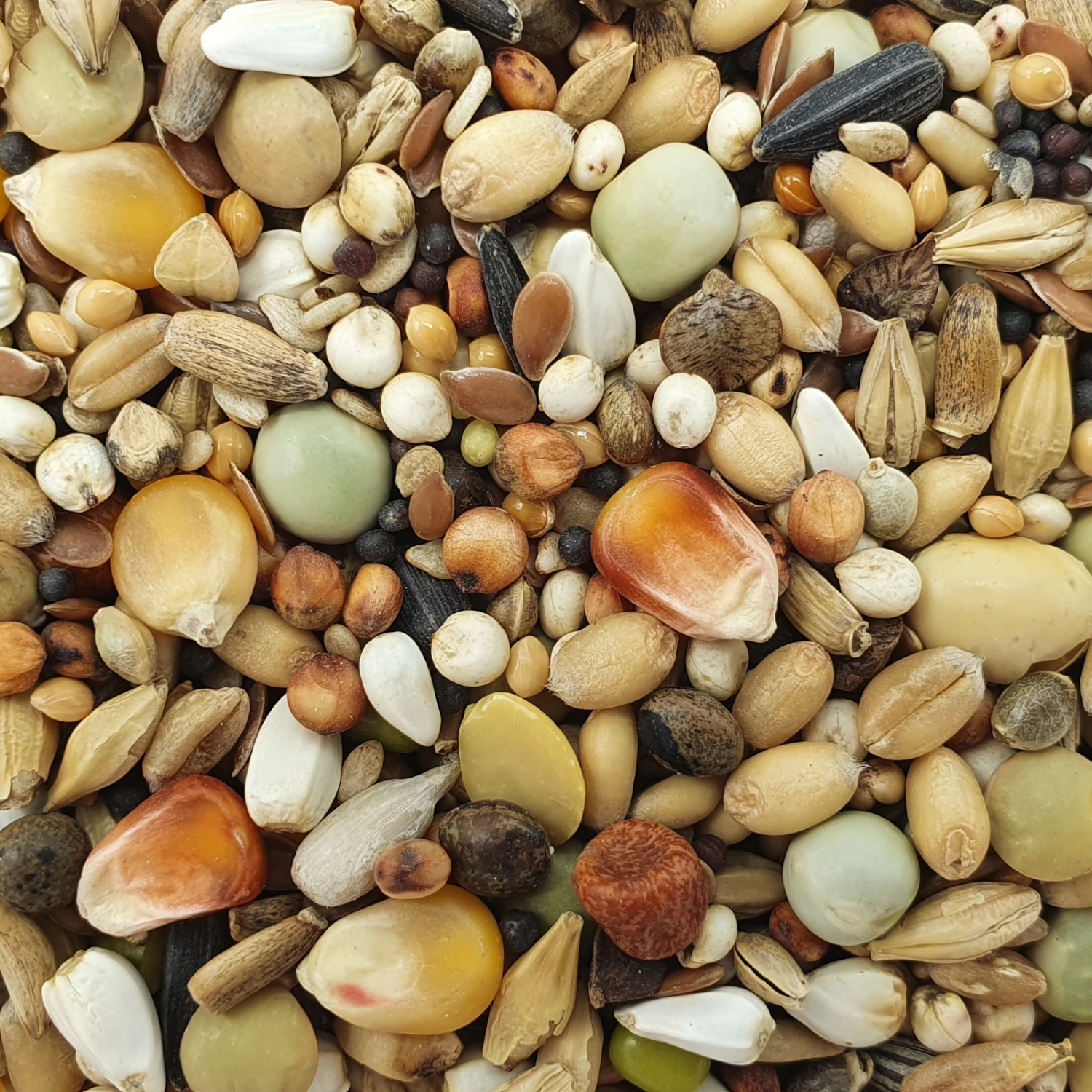 Versele Mauser Active Life 25kg 3 Versele Mauser Active Life 25kg